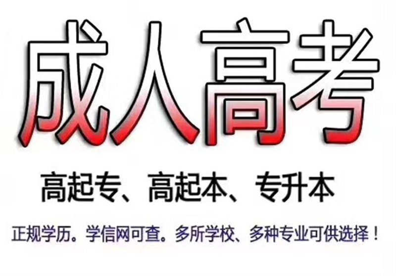 专升本:如何在竞争中脱颖而出