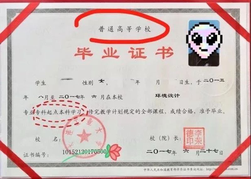 专升本攻略:从普通本科到理想院校的升级之路